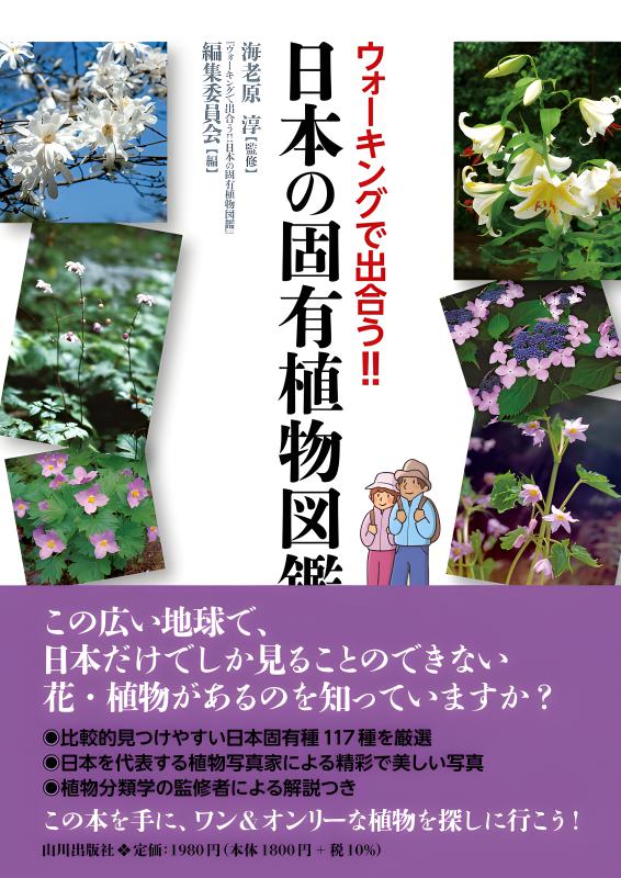 特別価格！ 洋書『ベネズエラの山岳植物、アンデスとテプイ、ブロメリア』植物図鑑 4月限定特価！洋書『ベネズエラの山岳植物、アンデスとテプイ